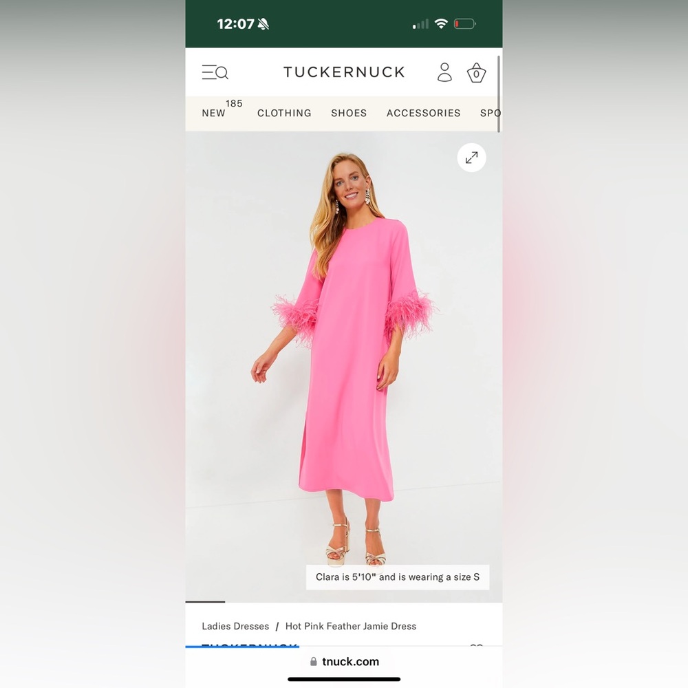 Tuckernuck pink knee length feather dress worn once